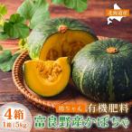 坊ちゃんカボチャ 小玉 無選別