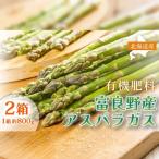 アスパラガス 富良野産 春野菜 サイズ無選別