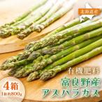 アスパラガス 富良野産 春野菜 サイズ無選別