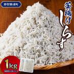\注文数急上昇 釜揚げしらす 1kg