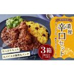 セット カレー ミャンマーカレー レトルトカレー