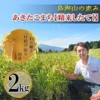 あきたこまち ひの米 精米 叶結び祈り わら細工