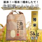 令和8年産 魚沼産コシヒカリ 精米 5kg