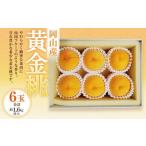 ふるさと納税 黄金桃 6玉（合計1.6kg以上） 化粧箱入り 【2026年8月下旬〜9月上旬迄発送予定】 黄金 モモ もも 桃 フルーツ 果物 国産 岡山県奈義町