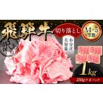 A4等級以上 飛騨牛 焼肉 切り落とし 250g