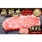 A4等級以上 飛騨牛サーロインステーキ用 900g