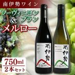 赤 白ワイン 2本