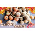 野菜セット オーガニック じゃがいも 玉ねぎ