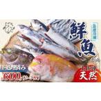冷凍鮮魚セット 600g