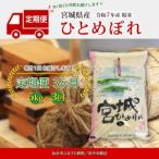 ふるさと納税 【定期�