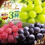 信州産 葡萄 3房