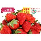古都華 2パックセット 毎月お届け1月から