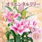 ユリ オリエンタルリリー 4本
