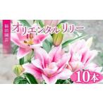 ユリ オリエンタルリリー 10本