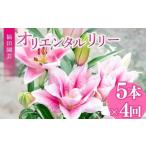 ユリ オリエンタルリリー 5本