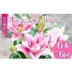 ユリ オリエンタルリリー 6本