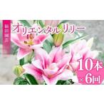 ユリ オリエンタルリリー 10本