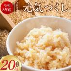 産ブランド米元気つくし 玄米 20kg