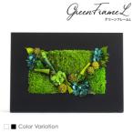 fu.... налог зеленый рама L цветок . цветок консервированный цветок подарок подарок праздник день рождения ... организовать интерьер Tokyo Metropolitan area Sumidaku чёрный.. Tokyo Metropolitan area Sumidaku 