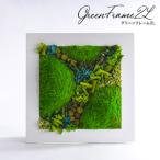 fu.... налог зеленый рама 2L цветок . цветок консервированный цветок подарок подарок праздник день рождения ... организовать интерьер Tokyo Metropolitan area Sumidaku.. Tokyo Metropolitan area Sumidaku 