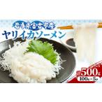 fu.... налог yali кальмар so- men . старый производство 100g×5 упаковка (500g)[ рассылка не возможно регион : отдаленный остров ][1702172] Iwate префектура . старый город 