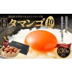 で生まれたブランド卵 天草タマンゴ 10個入