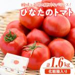 門川ひなたのトマト 800g×2箱