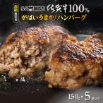 佐賀牛 100% がばいうまか ハンバーグ 150g×5個