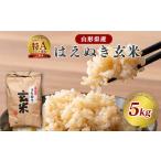 ふるさと納税 【令和7年産】はえぬき 玄米 5kg（5kg×1袋）2025年産【2025年10月頃から順次発送予定】　013-C-JF039-R7 山形県寒河江市