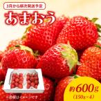 福岡 博多名物ブランドいちご あまおう 4パック