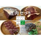 で獲れた鹿肉セット DSH021