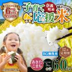 子育て応援米 産米 BG無洗米 あきたこまち 5kg