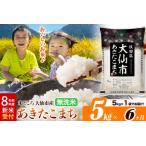 ふるさと納税 《令和8年産 新米受付》《定期便6ヶ月》あきたこまち【無洗米】米どころ秋田県大仙市産 あきたこまち5kg（5kg×1袋） 秋田県大仙市