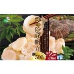 ふるさと納税 隔月2回定期便 北海道 野付産 冷凍 ホタテ 貝柱 ジャンボ ホタテ 500g （ ほたて ホタテ 帆立 貝柱 ホタテ貝柱 北海道 野付 大粒 .. 北海道別海町