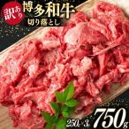 牛肉 切り落とし 訳あり A4以上 博多和牛 計750g