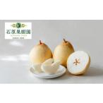 ショッピングふるさと納税 梨 ふるさと納税 梨 2026年  鴨梨（ヤーリー）大玉6〜10玉 約4kg 化粧贈答箱 赤秀【ナシ なし 岡山県産 国産 フルーツ 果物 ギフト 石原果樹園】 岡山県岡山市