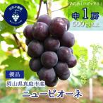 ニューピオーネ 1房 種無しピオーネ