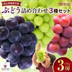 花笑み農園 ぶどう 彩り3種セット 1.8kg