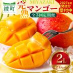 至極 完熟マンゴー 4L