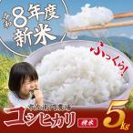 米 令和8年産 コシヒカリ5kg