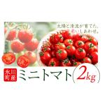 ミニトマト 約2kg