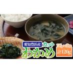訳あり カットわかめ 計120g