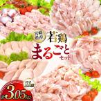 鶏肉 業務用 若鶏 もも切身 むね切身 筋なしささみ