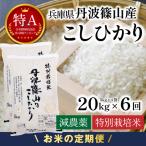 定期便 新米 丹波篠山産 特別栽培米コシヒカリ