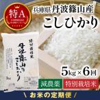 定期便 新米 丹波篠山産 特別栽培米コシヒカリ