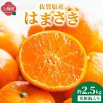 はまさき 約2.5kg