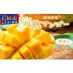 ふるさと納税 ＜先行予約＞【訳あり】マンゴー サイズ不揃い 2〜3玉 (約1kg) ＜2026年7月上旬から発送＞ 訳あり品 マンゴー KP-26 沖縄県石垣市