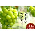 特秀 シャインマスカット約1.4kg 約700g×2房