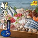 鮮魚 セット 4回 定期便 3種~5種