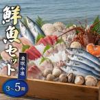 鮮魚 セット 3種~5種
